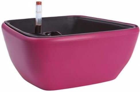 Vencer 10.8 Inch Plastic Square Self Watering Planter,Water Indicator,Ceramsite,Modern Decorative Planter Pot for All House Plants Flowers,Herbs,Vegetables,Tropical,Rose Red,VF-049R