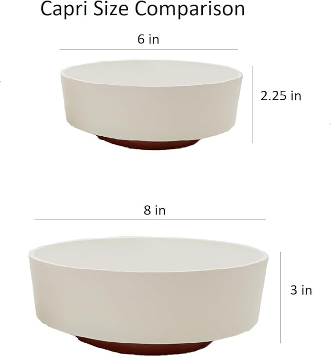 The HC Companies 8 Inch Round Plastic Succulent Capri Bowl Decorative Indoor Flower Succulent Planter Pot with Drain Plug Hole, Vanilla Bisque (2 Pack)