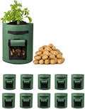 Delxo 10 Pack 10 Gallon Potato Grow Bags,Grow Bags for Vegetable with Window, Double Layer Premium Breathable Nonwoven Cloth for Potato/Plant Container/Aeration Fabric Pots with Handles in Green