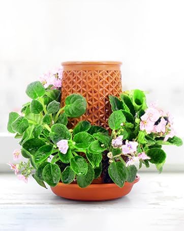 Plant Pots 5.7 Inch Self Watering Planters,Terracotta Pots with Drainage and Saucer,Hydroponic Clay Plant Pots Suitable for Indoor Plants,Orchid,African Violet,Flowers