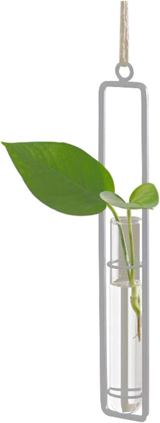 3 Pieces Hanging Plant Glass Test Tubes Hydroponic Vase Planters Wall-Mounted Terrarium Container for Indoor Outdoor Home Decoration (White)