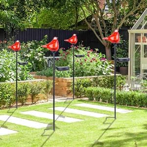 Bshine Solar Garden Decoration Outdoor Cardinal Lights, Hand Blown Glass Waterproof Solar Light Stake Red Cardinal Decorate Paths, Pathways, Lawns and Yards Art for Mom Gift, 2 Pack