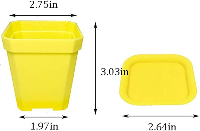 24 Pack 3inch Multi Color Square Plastic Plant Pots,Seedling Nursery Transplanting Planter Container Indoor Outdoor for Your Room,Garden Office and Balcony Decor