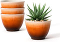 Plastic Plant Pots 8 Inch, 4 Piec Flower Pots with Drainage Hole, Modern Sleek Decorative Planter for Indoor Outdoor Succulent Snake Plants(Orange)