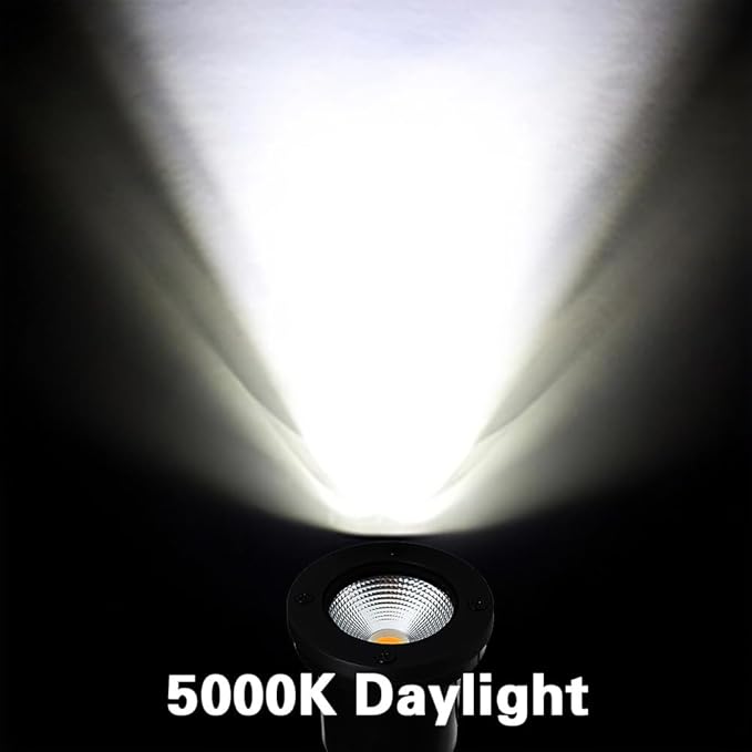 EAGLOD 20W Led 12V AC/DC Flag Spotlights Outdoor Landscape Lights,Low Voltage Landscape Lighting,IP65 Waterproof Flag Lights for Yard Wall Mounted Light 5000K Daylight Lawn Decorative 4Pack