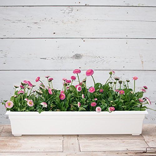 Root & Vessel 16362 Countryside Flower Box Planter, 36-Inch, White.