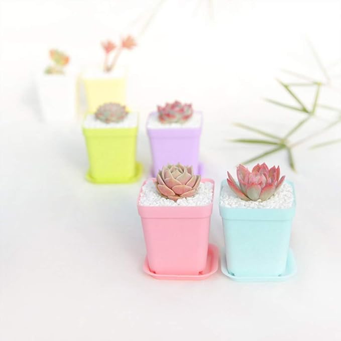 24 Pack 3inch Multi Color Square Plastic Plant Pots,Seedling Nursery Transplanting Planter Container Indoor Outdoor for Your Room,Garden Office and Balcony Decor