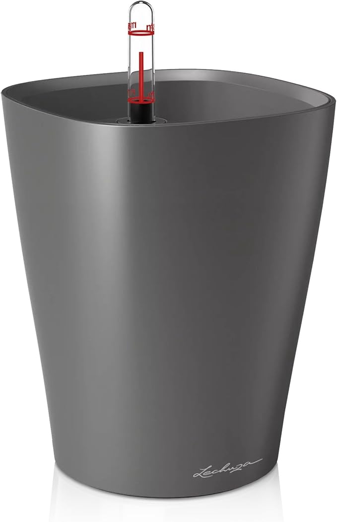 Lechuza 14903 Deltini Self-Watering Planter for Indoor and Outdoor Use, 6" x 6" x 7", Charcoal