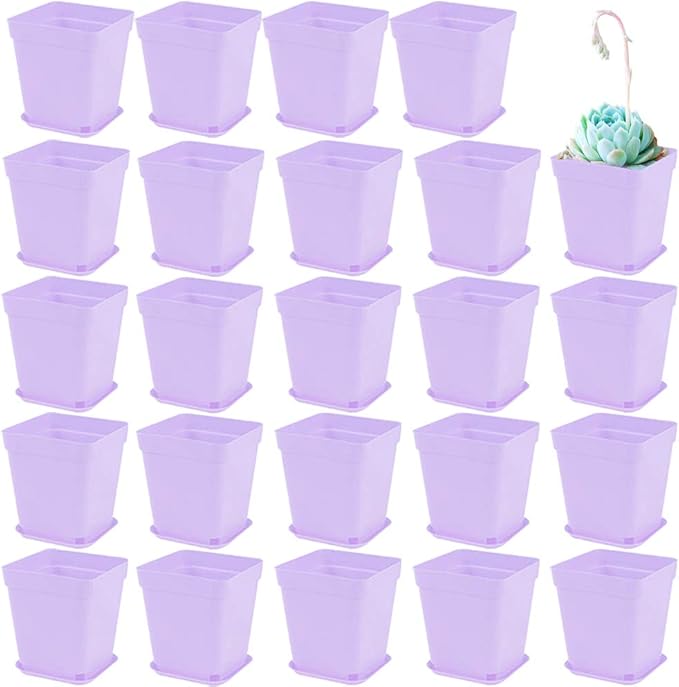 Anyumocz 24 Pack Plastic Square Nursery Pots 3 Inch Plastic Plant Pots,Flower Pot with Tray Saucer for Indoor Outdoor Garden Office Decor
