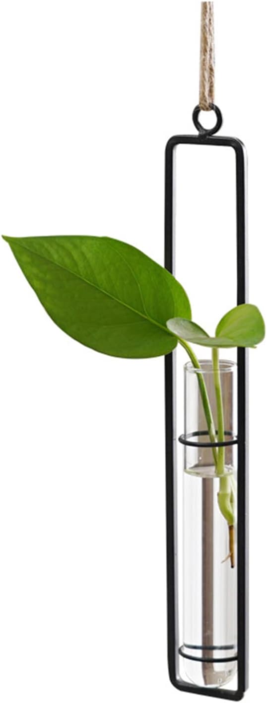 3 Pieces Hanging Glass Hydroponic Planter Transparent Test Tube Plant Vase Terrarium Container for Indoor Outdoor Modern Home Decoration (Black)