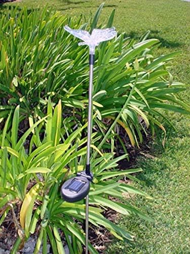 Solar Garden Stake Lights with Color Changing LED or Regular White LED Landscape Path Lights (Set of 2) (Butterfly)