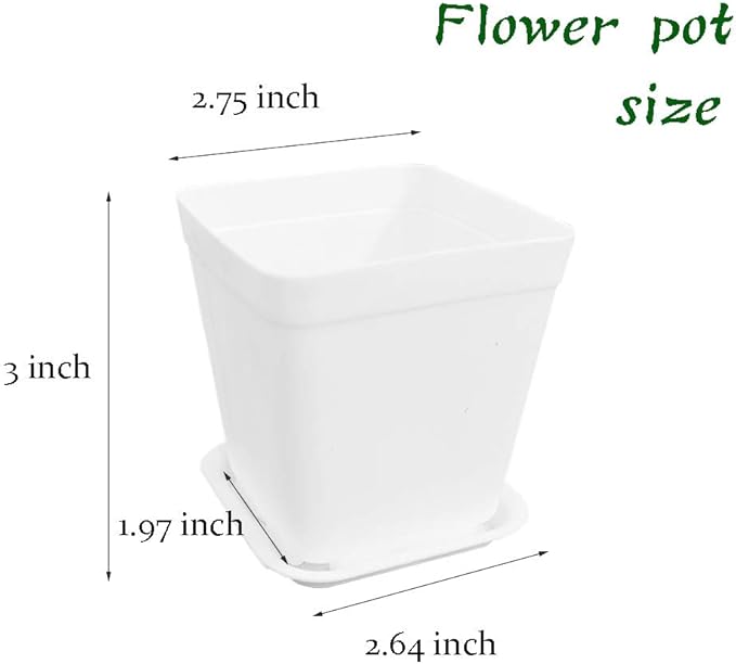 24 Pack 3 Inch White Square Plastic Plant Pots with Saucers,Nursery Seedling Pots with Drainage Hole,Small Planter Containers for Succulents,Flowers,Indoor Outdoor Garden,Home Office Balcony Decor