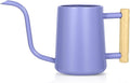 Watering Can Indoor Plants, 35 oz/1000 ml Metal Stainless Steel Watering Can Pot with Long Spout for Indoor House Plants Bonsai Outdoor Garden Flower Decorative (Purple)