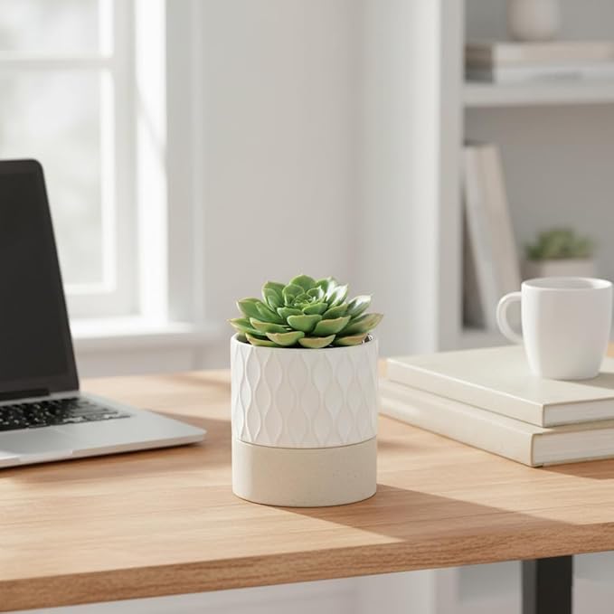 Nihow Self Watering Plant Pot for Indoor Plants: 4.5+6 Inch Ceramic Planter with Drainage Hole & Water Storage Plus - Cylinder Flower Pot with Wick for Herbs - Cream White & Brown Net