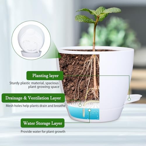 Hanging Planters for Indoor Plants, 2 Set Self Watering Hanging Flower Pots, Modern Hanging Plant Baskets with Metal Plant Holder & 6.5 Inch Plastic Pots for Garden Home Decor (Gold Frame White Pot)