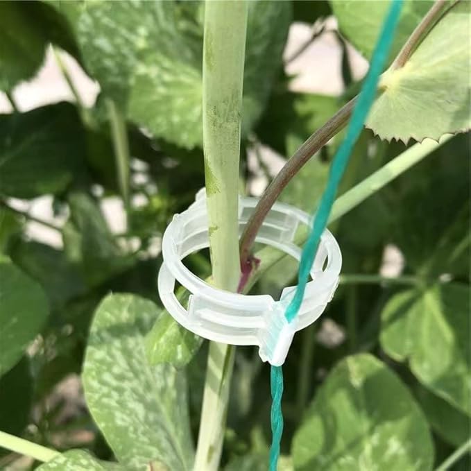 Piteno® 300Pcs Tomato Clips, Plastic Trellis Clips, Plant Support Clips, Grape Vine Tomato Vine Vegetables Plants Garden Support Clips to Grow Upright Makes Plants Healthier (Green)