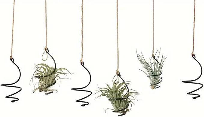 6 pcs set Hanging Air Plant Holder Air Plant Hanger with Jute Ropes, Soilless Air Plant Stand Tillandsia Succulent Display Container for Home Office Decor