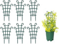 6PCS Trellis for Potted Plants, Stackable Indoor Plant Trellis for Climbing Plants Outdoor for Vine Ivy Hoya Houseplants Flower Plant Support