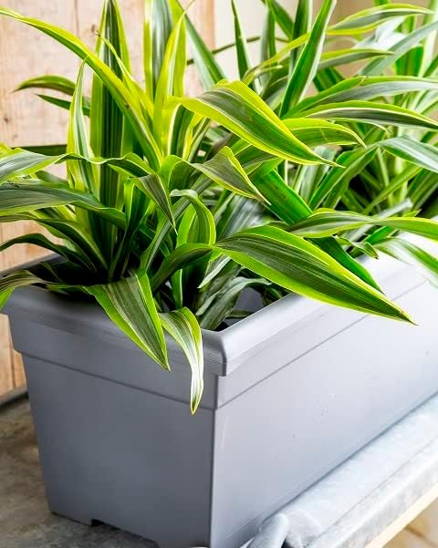 The HC Companies 28 Inch Romana Planter Box with Drainage Plug, Lightweight UV-Resistant Plastic Outdoor Planters, 1-Pack Flower Box for Garden, Patio, Balcony, and Fence, Warm Gray