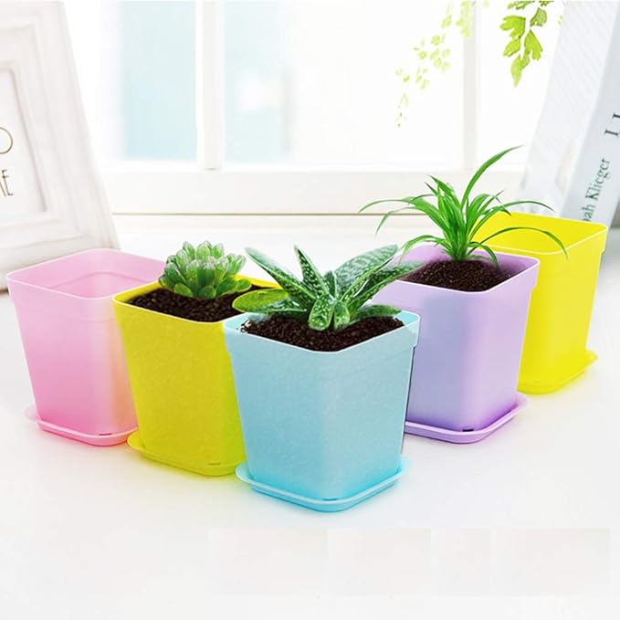 24 Pack 3inch Multi Color Square Plastic Plant Pots,Seedling Nursery Transplanting Planter Container Indoor Outdoor for Your Room,Garden Office and Balcony Decor
