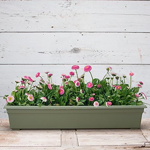 Root & Vessel 16360, Sage, Countryside Flower Box Planter, 36-Inch