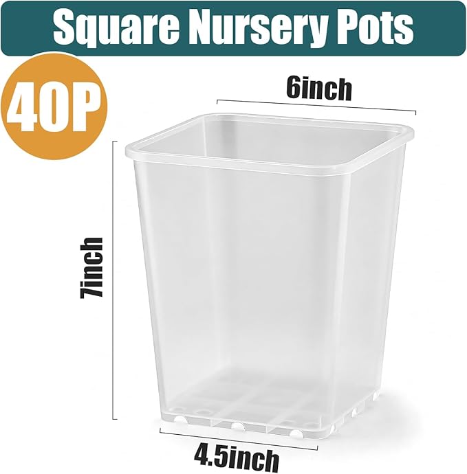 Nursery Pots 6 Inch 40 Pcs, Plastic Seed Starting Pot with Drainage Holes, Sturdy Seedling pots for Planting, Cuttings, Clear