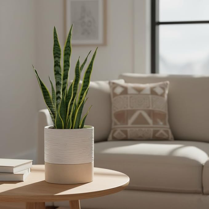 Nihow Self Watering Plant Pot: 6 Inch Ceramic Planter with Drainage Hole & Water Storage Plus for Indoor & Outdoor Plants - Cylinder Round Flower Pot for Succulent/Herbs/Violets - Cream White & Brown
