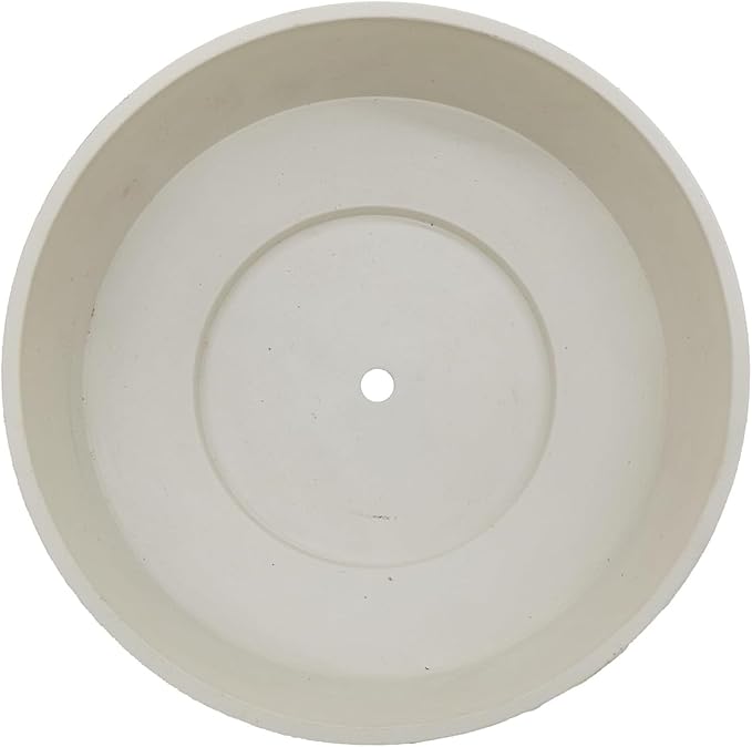 The HC Companies 8 Inch Round Plastic Succulent Capri Bowl Decorative Indoor Flower Succulent Planter Pot with Drain Plug Hole, Vanilla Bisque (2 Pack)