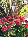 Solar Powered Garden Stake LED Light, Set of 2 (Lily Flower)