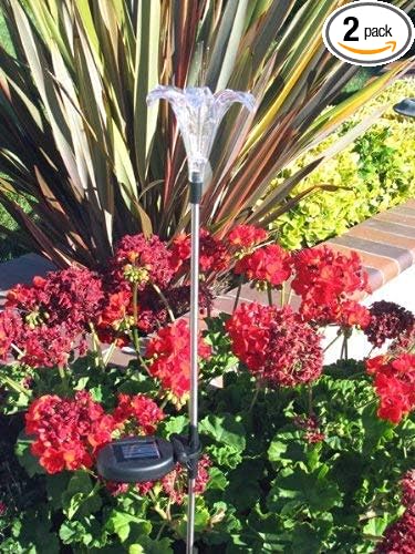 Solar Powered Garden Stake LED Light, Set of 2 (Lily Flower)