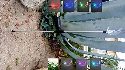 Solar Garden Stake Lights with Color Changing LED or Regular White LED Landscape Path Lights (Set of 2) (Celestial Moon)