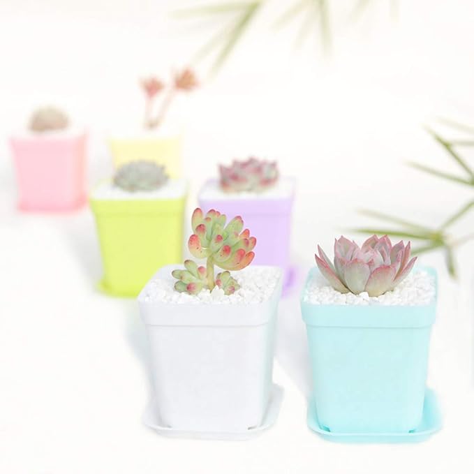 24 Pack 3inch Multi Color Square Plastic Plant Pots,Seedling Nursery Transplanting Planter Container Indoor Outdoor for Your Room,Garden Office and Balcony Decor