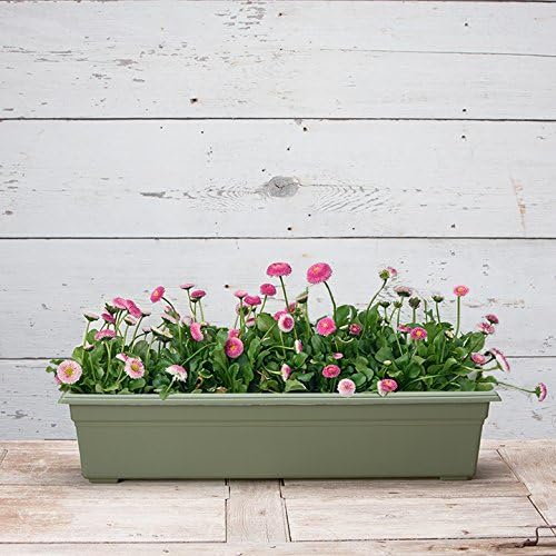 Novelty 16300 30" Flowerbox Sage, Inch
