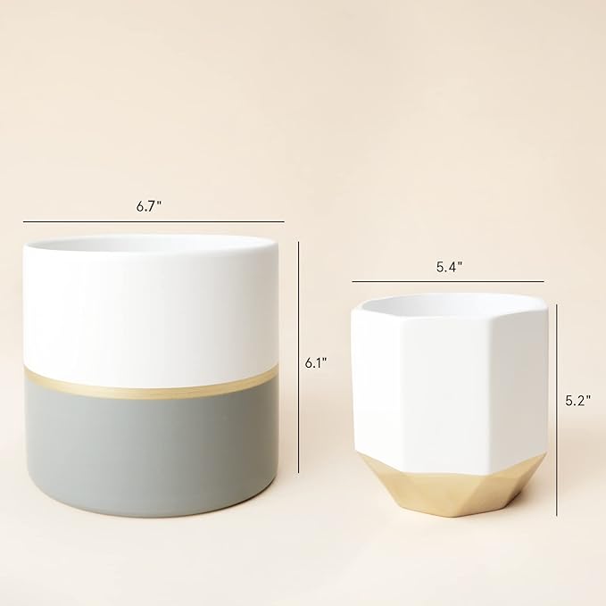 LA Jolie Muse White Ceramic Flower Pot Garden Planters 6.7 Inch Pack 2 Indoor Plant Containers with Gold and Grey Detailing