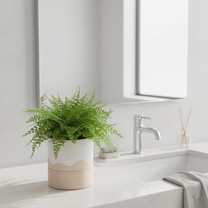 Nihow Self Watering Plant Pot: 6 Inch Ceramic Planter with Drainage Hole & Water Storage Plus for Indoor & Outdoor Plants - Cylinder Round Flower Pot for Succulent/Herbs/Violets - White & Nature