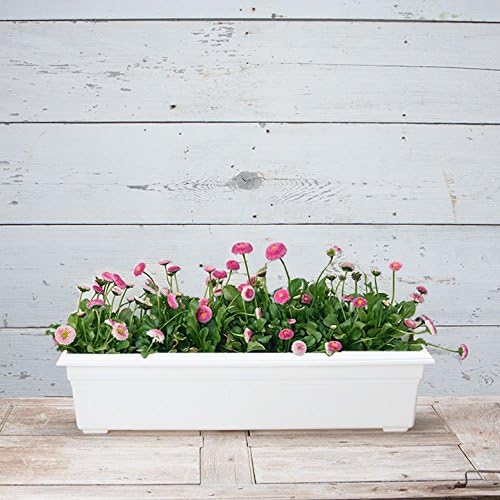 Root & Vessel Countryside Flower Box Planter, White, 30-Inch