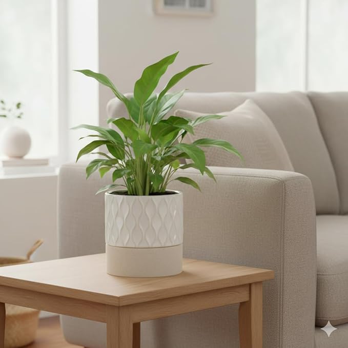 Nihow Self Watering Plant Pot for Indoor Plants: 6 Inch Ceramic Planter with Drainage Hole & Water Storage Plus - Cylinder Flower Pot with Wick for Herbs - Cream White & Brown Net