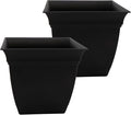 The HC Companies 12 Inch Eclipse Square Planter Pots with Drainage Holes & Attached Saucer, Lightweight UV-Resistant Plastic Indoor Outdoor Planters, 2-Pack Flower Pots for Garden & Home Decor, Black