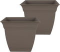 The HC Companies 10 Inch Eclipse Square Planter Pots with Drainage Holes & Attached Saucer, Lightweight UV-Resistant Plastic Indoor Outdoor Planters, 2-Pack Flower Pots, Garden Home Decor, Cappuccino
