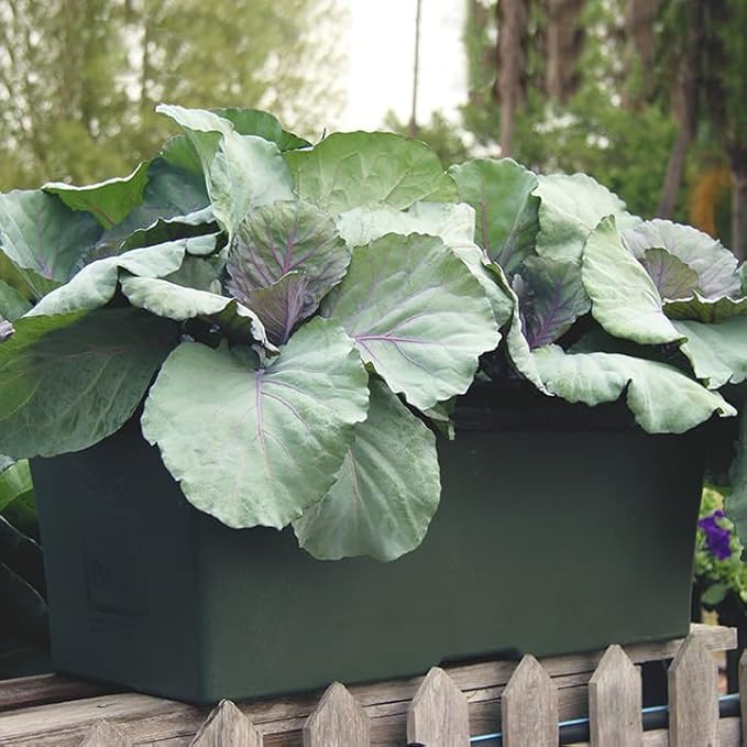 EarthBox 80151 Garden Kit, Organic, Green