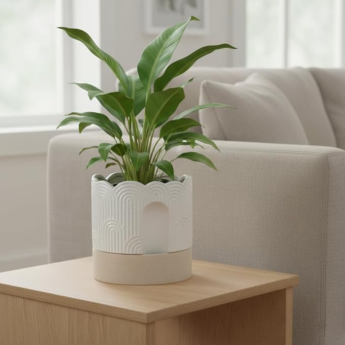 Nihow Self Watering Plant Pot for Indoor Plants with Wick: 8 Inch Ceramic Planter with Drainage Hole & Water Storage - Relief Design - Beige & Nature Flower Pot