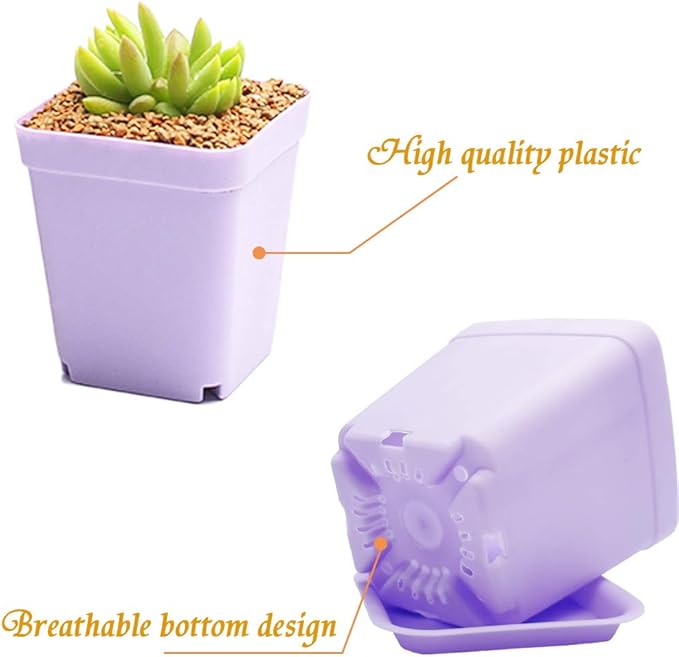 Anyumocz 24 Pack Plastic Square Nursery Pots 3 Inch Plastic Plant Pots,Flower Pot with Tray Saucer for Indoor Outdoor Garden Office Decor
