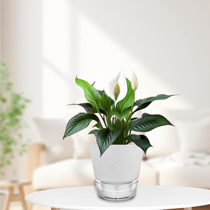 2024 Upgraded 5 Pack 6-Inch Self-Watering Planter Pots with Deep Reservoir for Indoor and Outdoor Plants with Planting Tools (Frosted White)