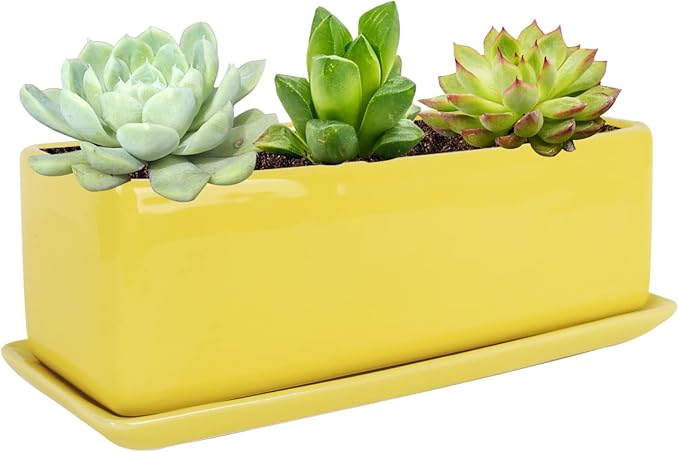 Vencer 12 Inch Rectangular Modern Minimalist Ceramic Succulent Planter Pot - Window Box with Saucer,Office Desktop Potted Stand,Yellow,VF-0135Y