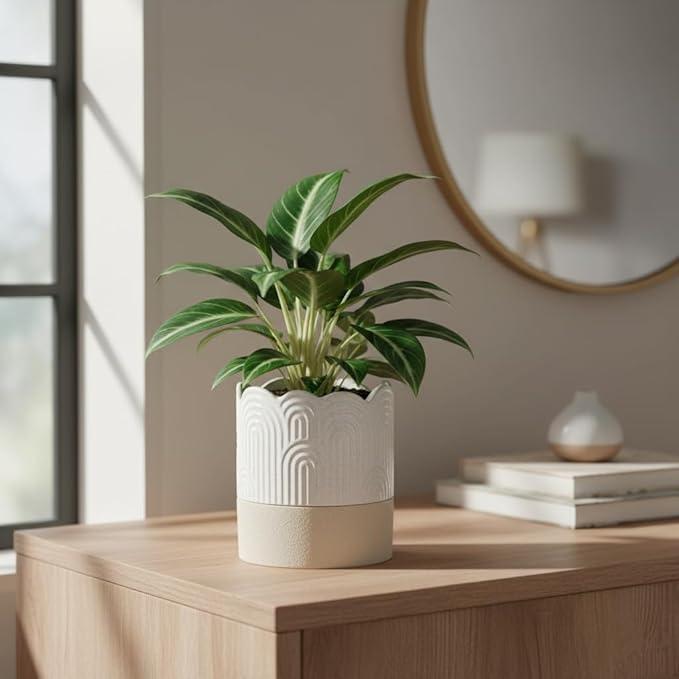 Nihow Self Watering Plant Pot: 4.5 Inch Ceramic Planter with Drainage Hole & Water Storage Plus for Indoor & Outdoor Plants - Cylinder Flower Pot for Herbs/Violets - Beige & Nature