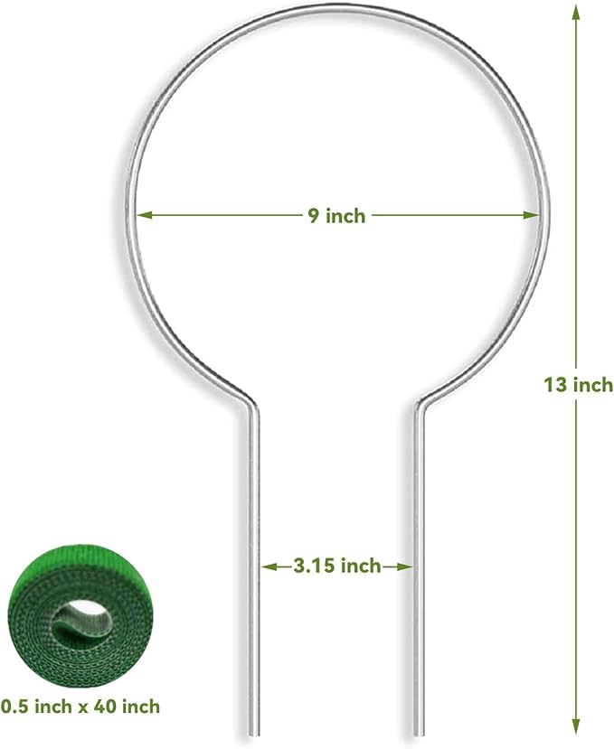 2 Pack Round Plant Trellis for Potted Plants Indoor Outdoor, Acrylic Small Trellis for Climbing Plants, Plant Support for Hoya Pothos Vine Ivy Monstera Flower Philodendrons Dischidia