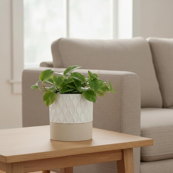 Nihow Self Watering Plant Pot: 4.5 Inch Ceramic Planter with Drainage Hole & Water Storage Plus for Indoor & Outdoor Plants - Cylinder Flower Pot for Herbs/Violets - Cream White & Brown Net