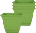 The HC Companies 6 Inch Eclipse Square Planter Pots w/Drainage Holes & Attached Saucer, Lightweight UV-Resistant Plastic Indoor Outdoor Planters, 4-Pack Flower Pots, Garden Home Decor, Peridot Green