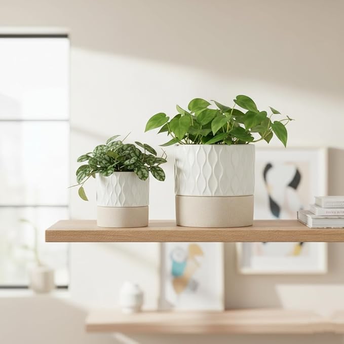 Nihow Self Watering Plant Pot for Indoor Plants: 4.5+6 Inch Ceramic Planter with Drainage Hole & Water Storage Plus - Cylinder Flower Pot with Wick for Herbs - Cream White & Brown Net