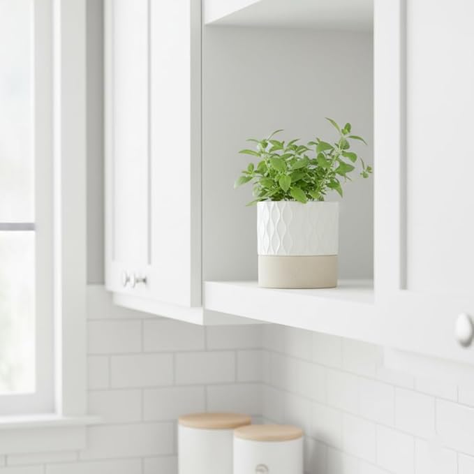 Nihow Self Watering Plant Pot: 4.5 Inch Ceramic Planter with Drainage Hole & Water Storage Plus for Indoor & Outdoor Plants - Cylinder Flower Pot for Herbs/Violets - Cream White & Brown Net